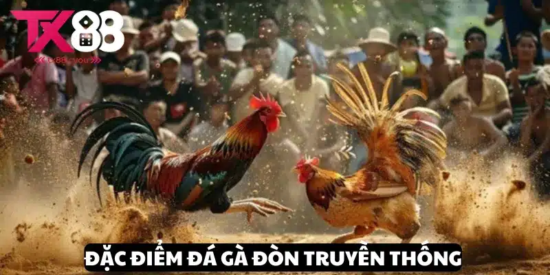 Khám phá đặc điểm thi đấu đá gà đòn truyền thống